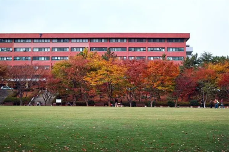 蔚山大学