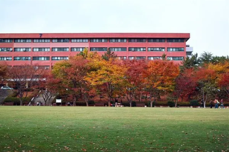 蔚山大学简介