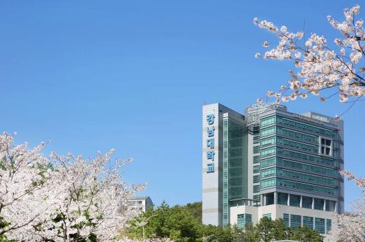 韩国留学《江南大学》中文硕博(图1)