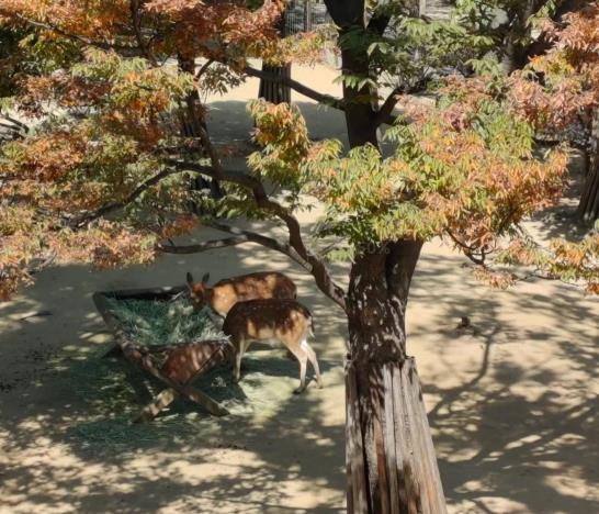 韩国生活小众体验地——圣水洞(图1)