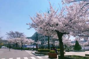2023年韩国航空大学航空服务专业博士招生简章(图1)