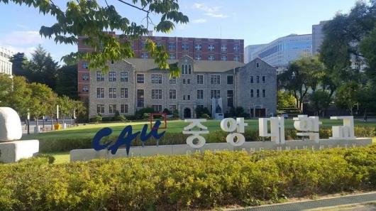 去韩国留学什么专业适合回国考公？