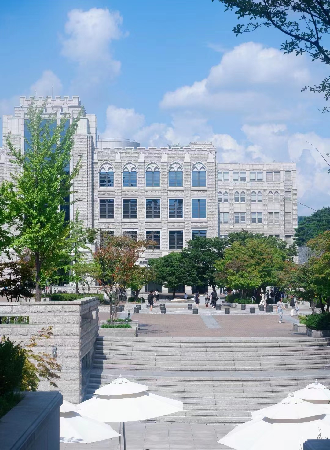 2024年韩国高丽大学本科申请条件(图1)