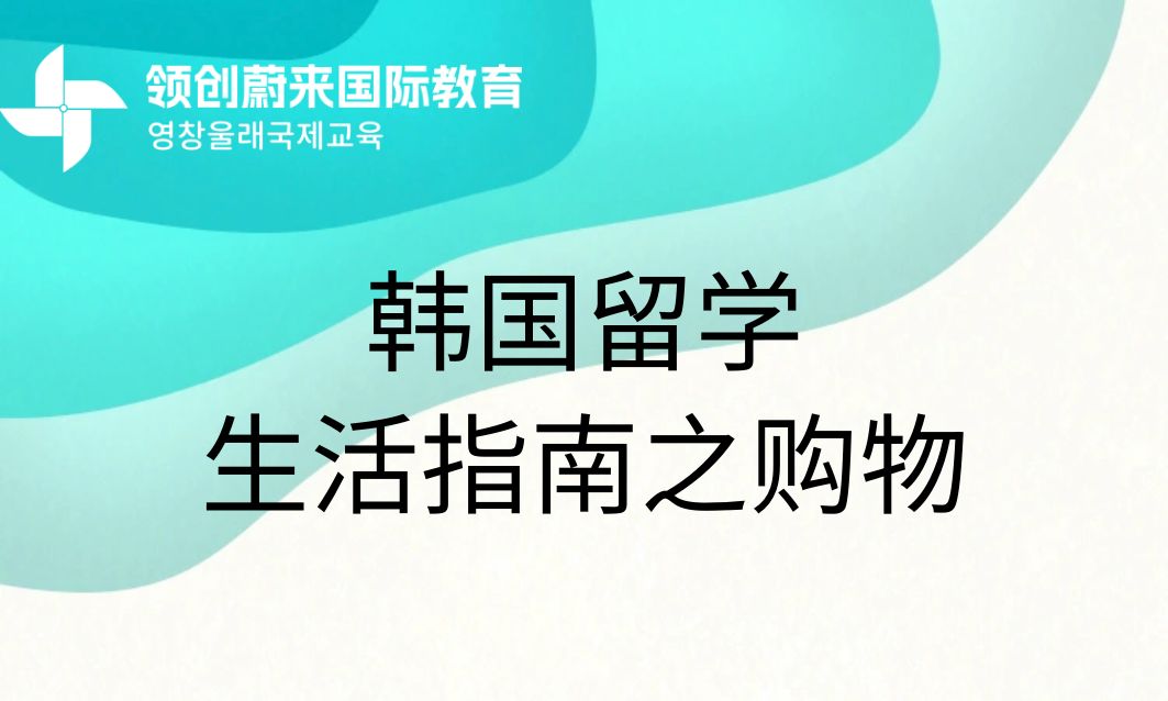韩国留学生活指南之购物(图1)