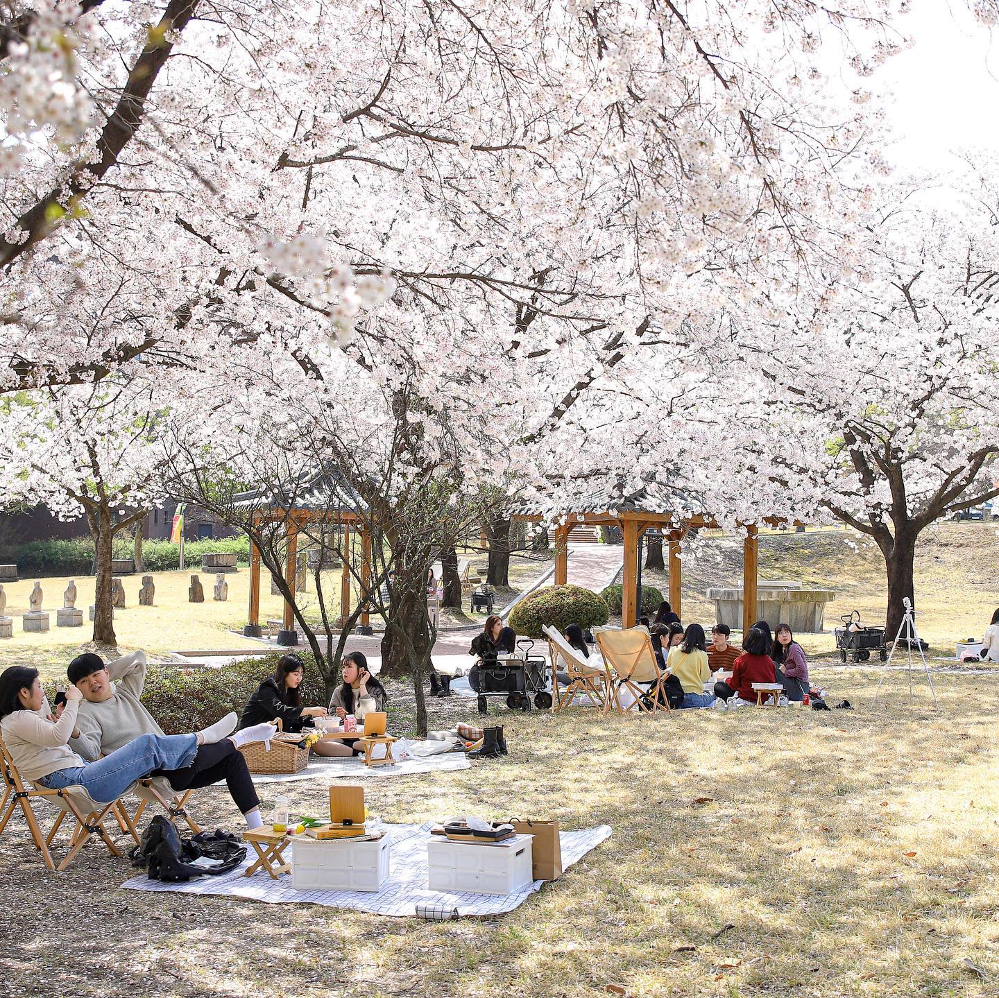 高中去韩国留学要满足哪些申请条件？