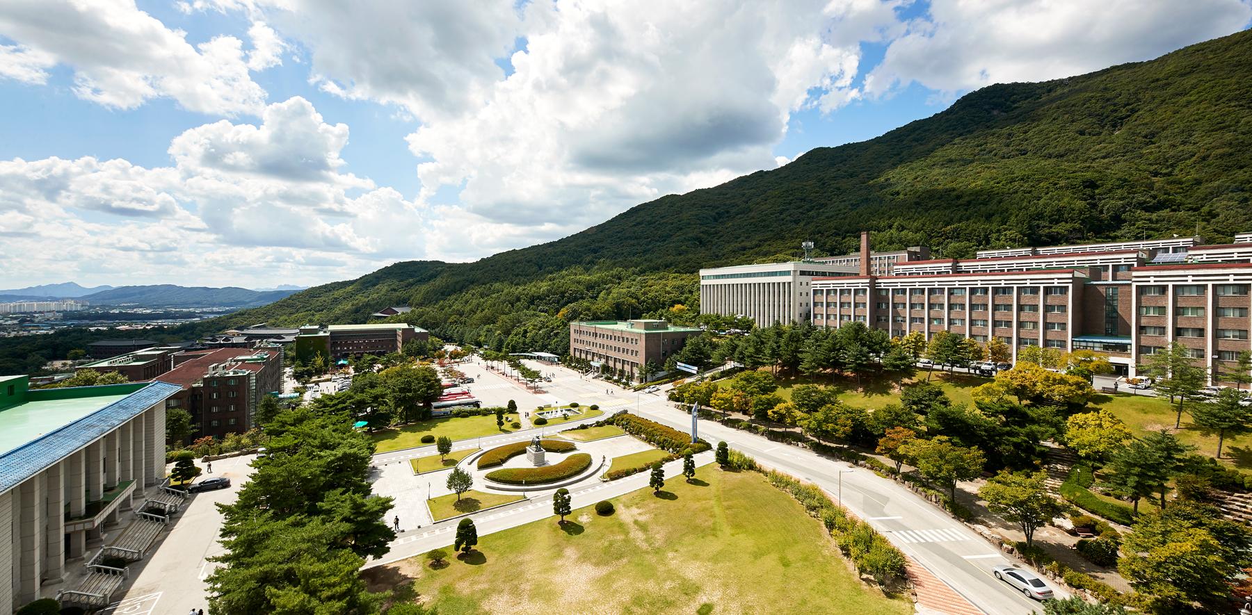 统招专升本太卷，不如选择韩国大真大学1年制专升本，专业齐全，学制短，1年就能毕业！