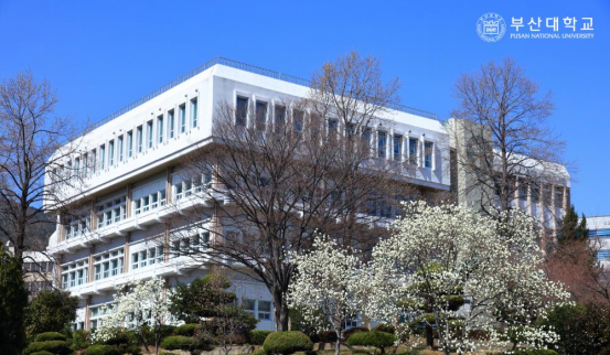 山东女子学院与韩国釜山国立大学联合培养护理学本科招生简章(图2)
