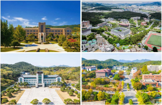 2025年春季韩国东国大学（WISE校区）中韩双语授课专科插班本科申请指南(图2)