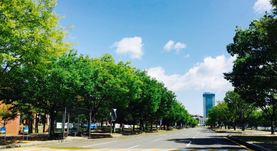 2025年春季韩国大邱大学3+2中韩双语授课专插本申请指南(图1)