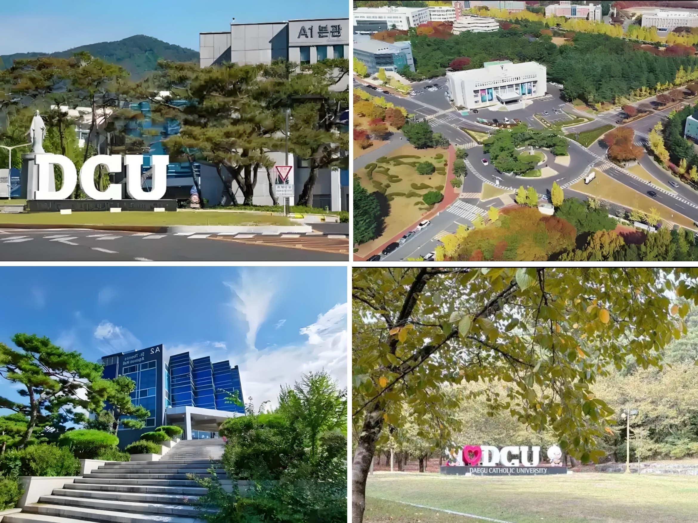 2025年韩国大邱加图立大学2年制  双语授课博士申请指南(图5)