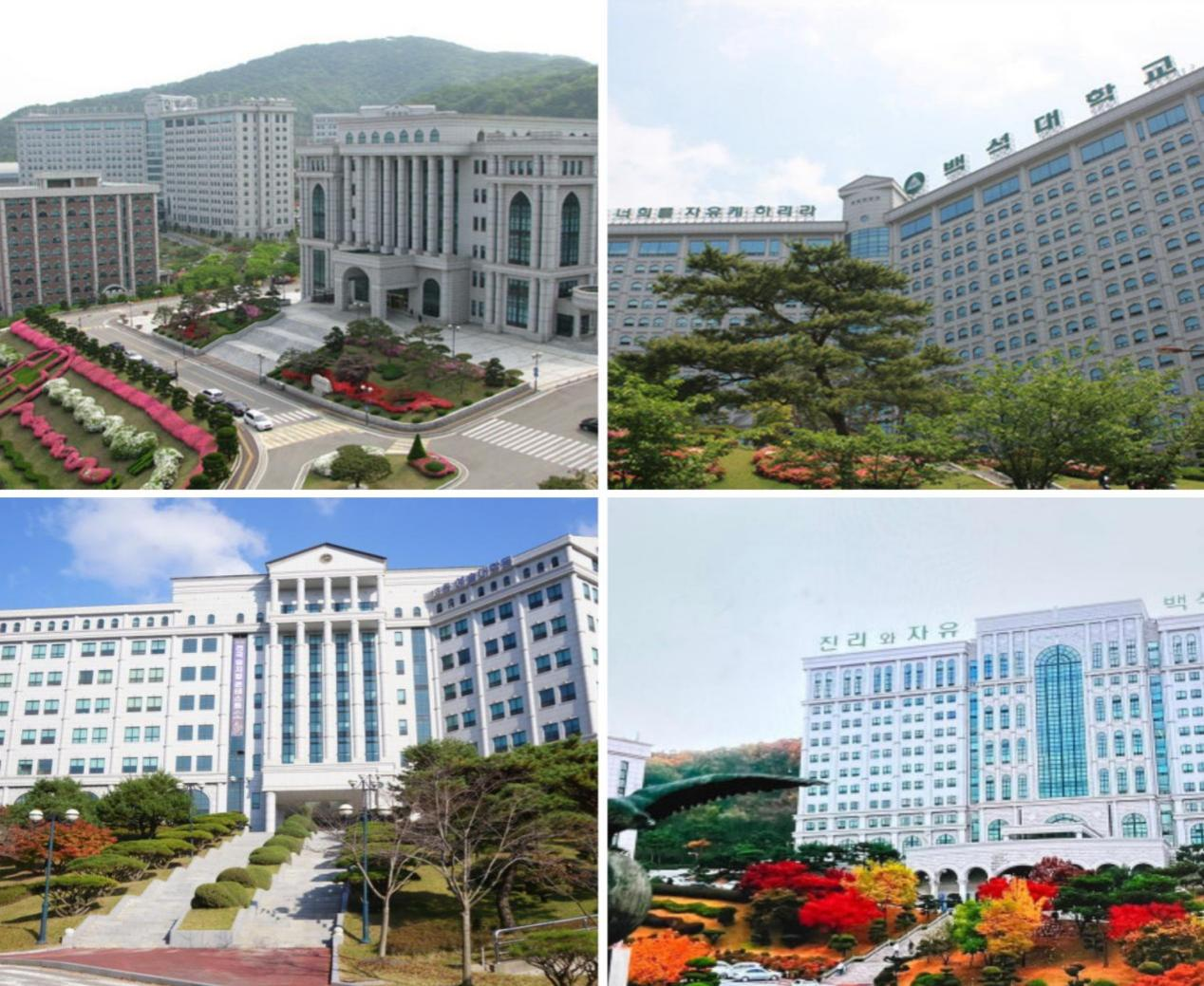 2025年韩国白石大学1年制中文授课硕士申请指南(图6)
