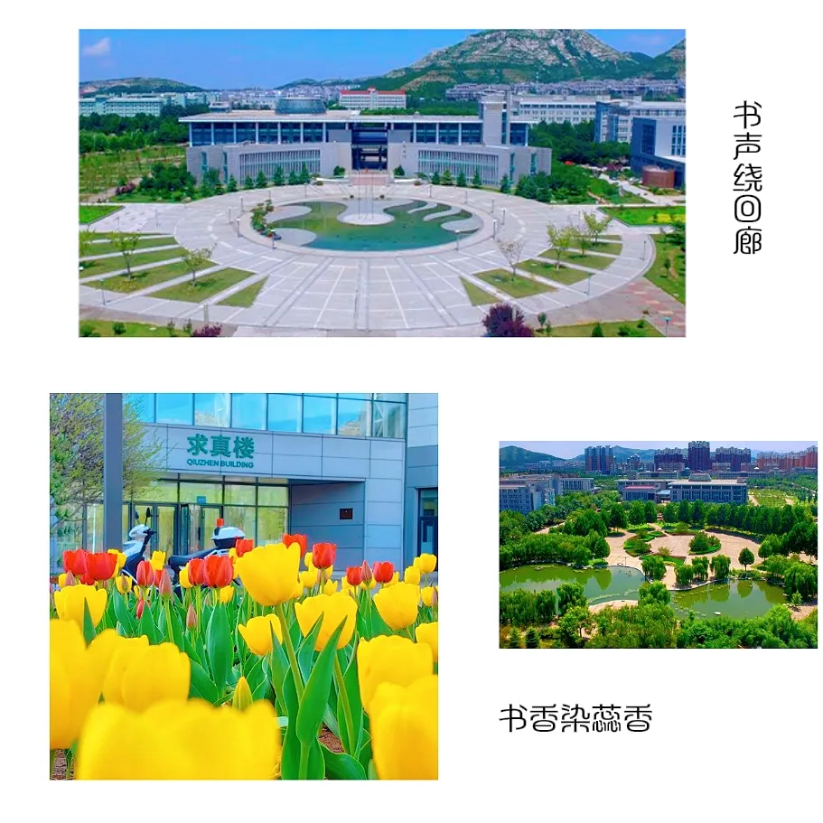 家长必看！高考450分以下也能就读重点本科！(图23)