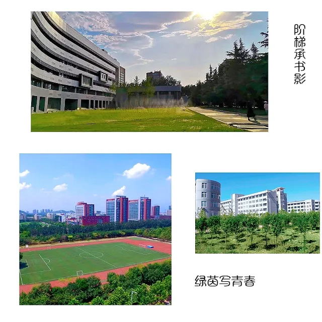 家长必看！高考450分以下也能就读重点本科！(图22)