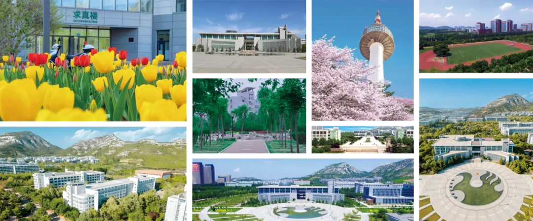 山东女子学院与韩国西江大学 本科定向班招生简章(图4)