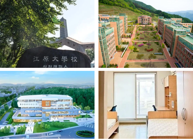山东女子学院与韩国国立江原大学 中韩合作重点本科招生简章(图11)