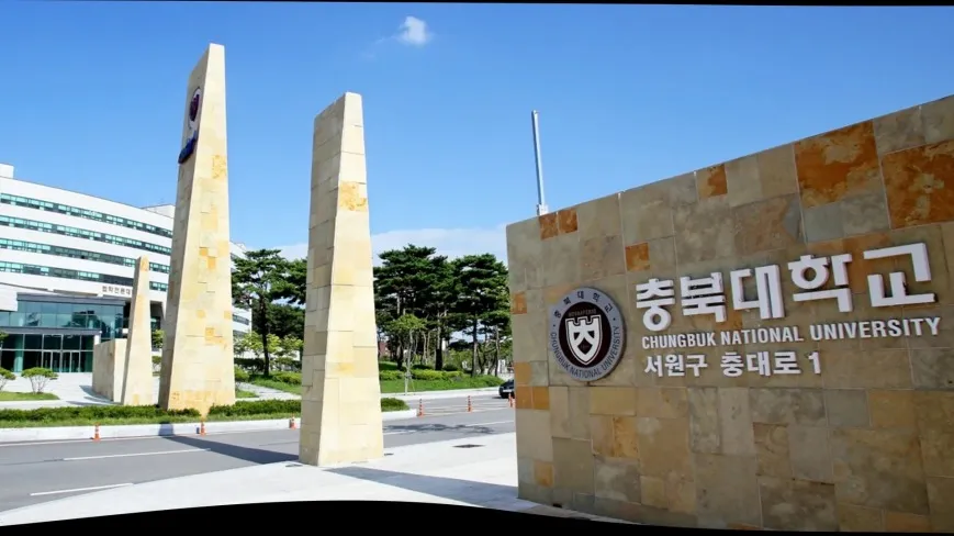 山东女子学院与韩国忠北大学 中韩合作重点本科招生简章(图2)