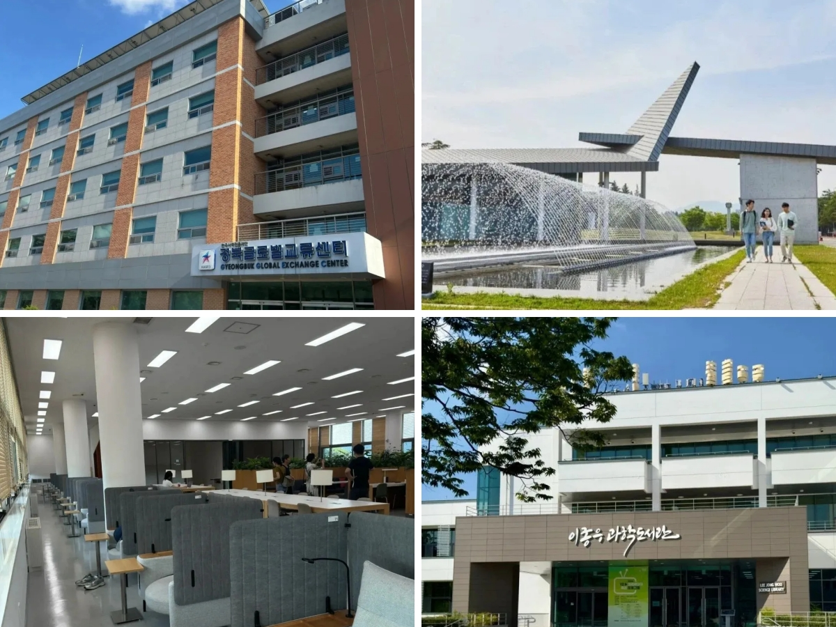 韩国岭南大学1年制双语授课硕士申请指南(图3)