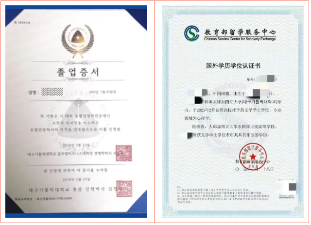 山东女子学院与韩国大邱加图立大学 中韩合作重点本科招生简章(图5)