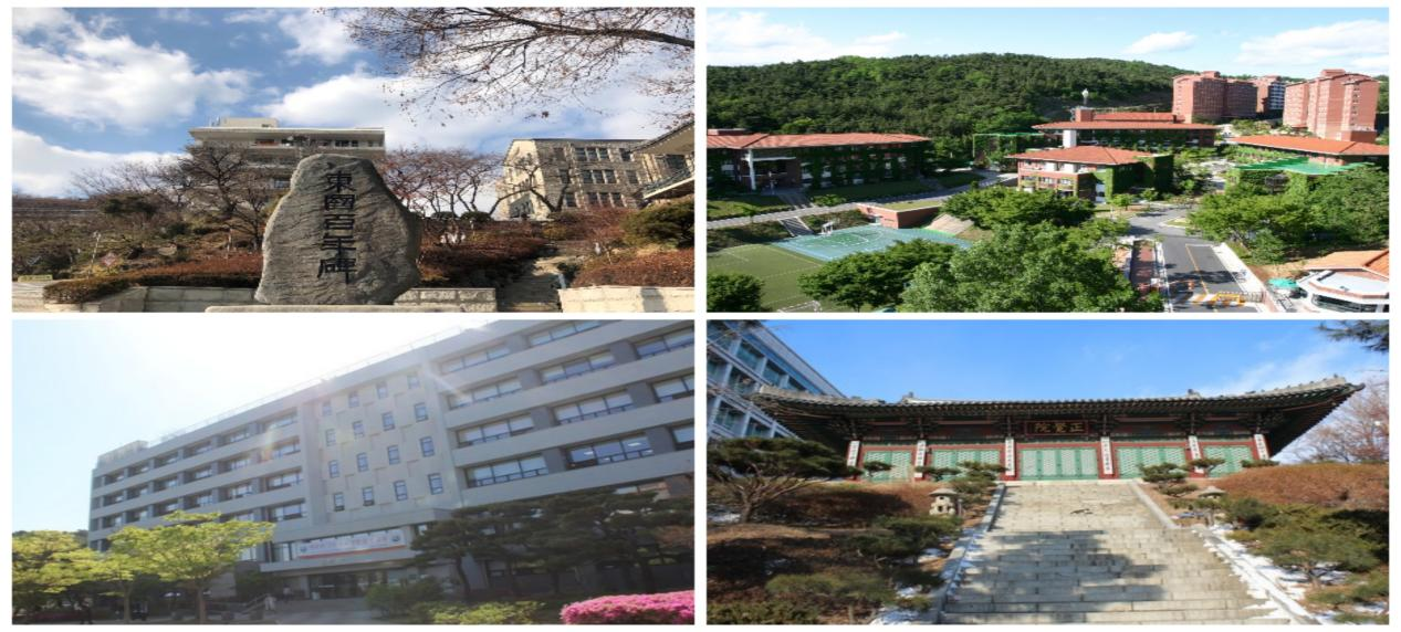 韩国东国大学WISE校区 1年制双语授课专升本申请指南(图3)