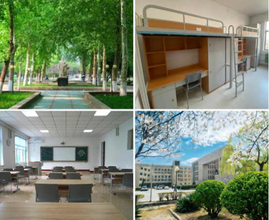 2026年山东理工大学韩国留学预科班  本升硕层次招生简章(图2)