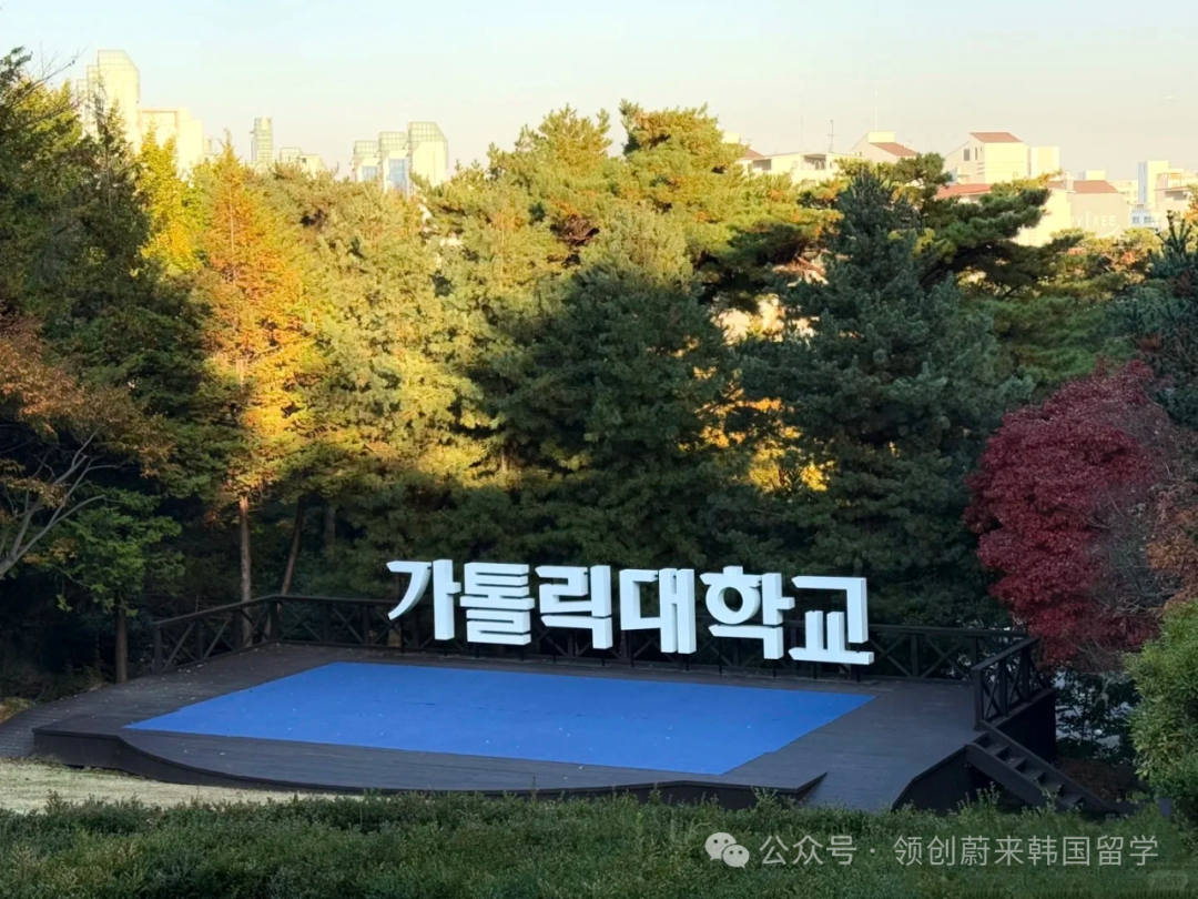 院校推荐丨2026年韩国留学双语授课硕士院校及专业汇总(图12)