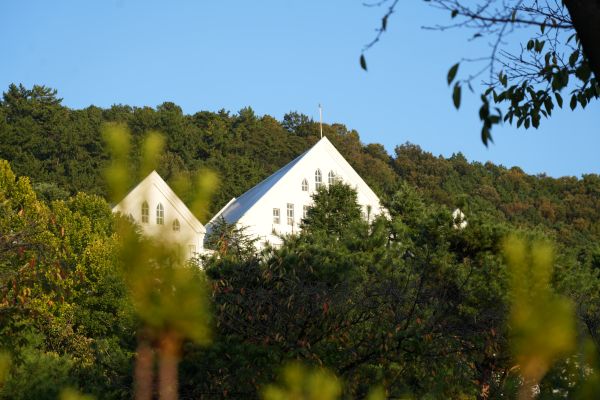 韩国教育部强化留学生管理，将带来哪些重要变化？(图1)