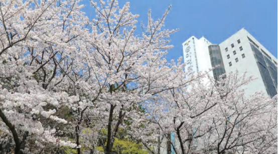 韩国留学丨韩国东亚大学1年制中文授课专升本申请条件、专业、学费、毕业条件、奖学金、宿舍招生简章(图1) 韩国留学丨韩国东亚大学1年制中文授课专升本申请条件、专业、学费、毕业条件、奖学金、宿舍招生简章(图1)