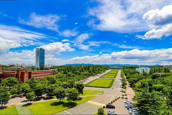 去韩国留学选择首尔，一年需要花费多少钱？(图1)