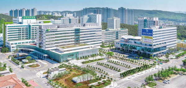 去韩国留学，拿到签证后如何快速适应留学生活？(图1)