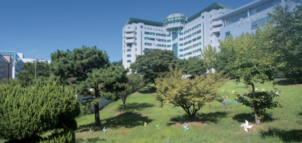 计划去韩国留学应该怎样选择学校与专业？(图1)