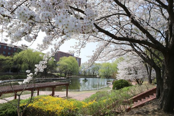 重磅新政！2026 韩国留学签证迎来政策全面大调整(图1)