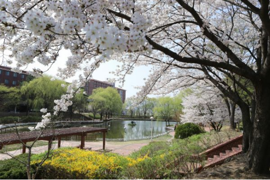 大邱大学中文授课硕士需要准备多少钱？(图1)