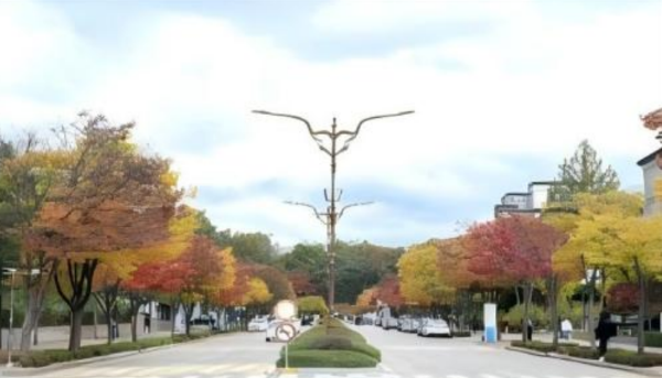 韩国留学1年制专升本需要语言吗？(图1)