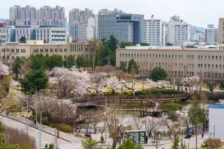 赴韩留学新规须知！6 个隐形坑，新手留学生一定要记住(图1)