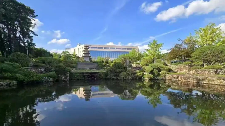 韩国入境药品管制新规｜留学生游客携带药品避坑完整指南(图1)
