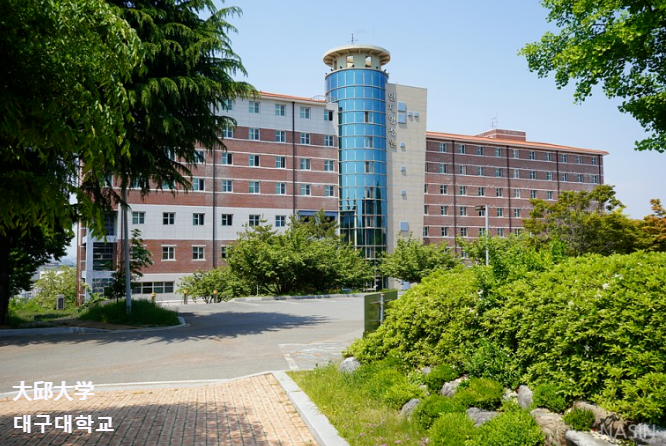 双语授课、免试录取 | 2024年韩国大邱大学幼儿教育专业博士申请提醒！(图2)