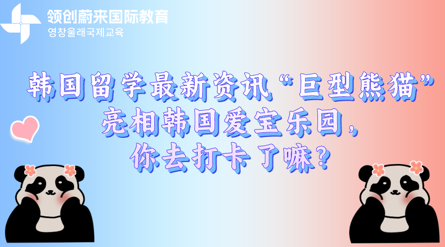 韩国留学最新资讯“巨型熊猫”亮相韩国爱宝乐园，你去打卡了嘛？(图1)