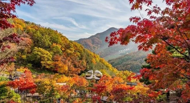韩国留学生活—韩国人气最旺的7个景点推荐来了！建议收藏！(图4)