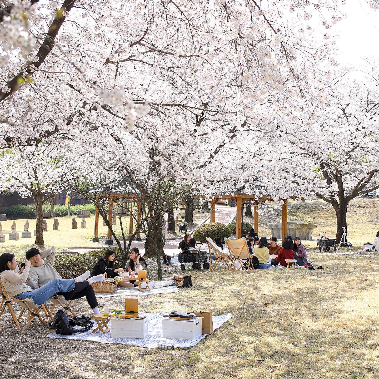 韩国留学1年制专升本大邱大学校园环境怎么样？