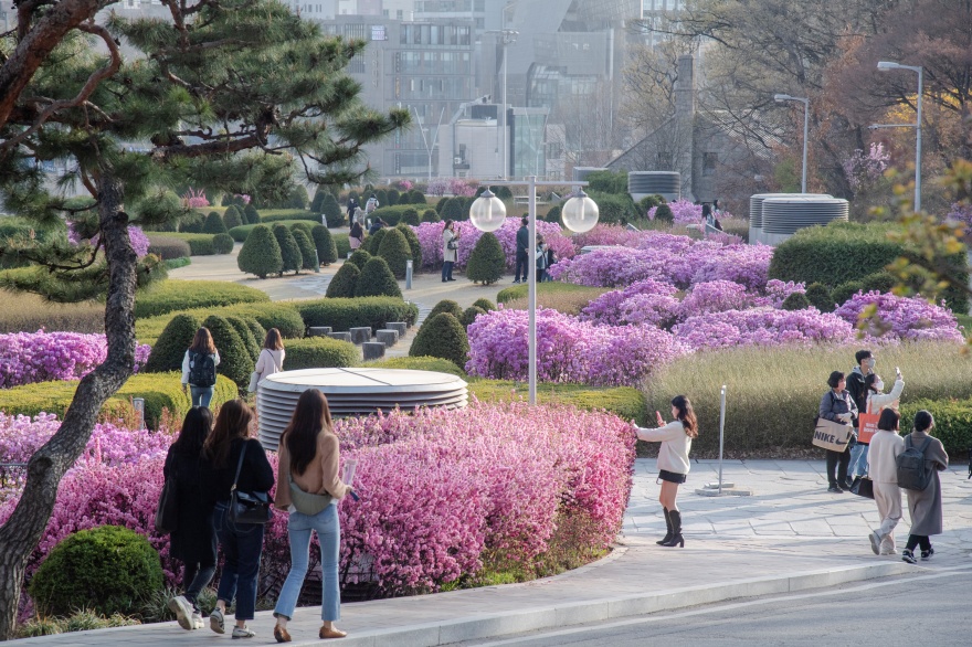  韩国留学中文硕士梨花女子大学学校环境怎么样？(图4)