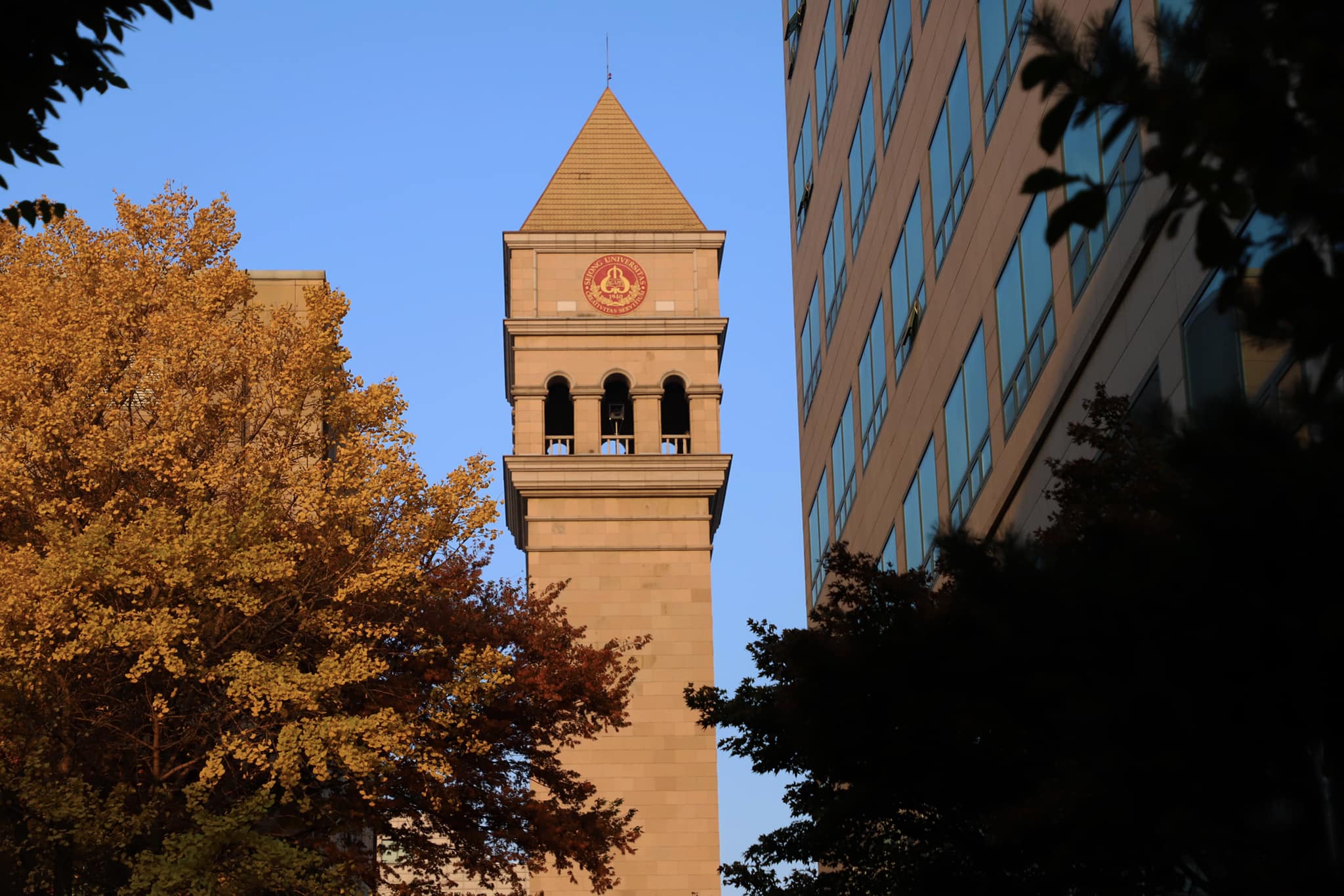 韩国世宗大学中文硕士正在火热申请中，专业齐全，本科生赶快看过来！