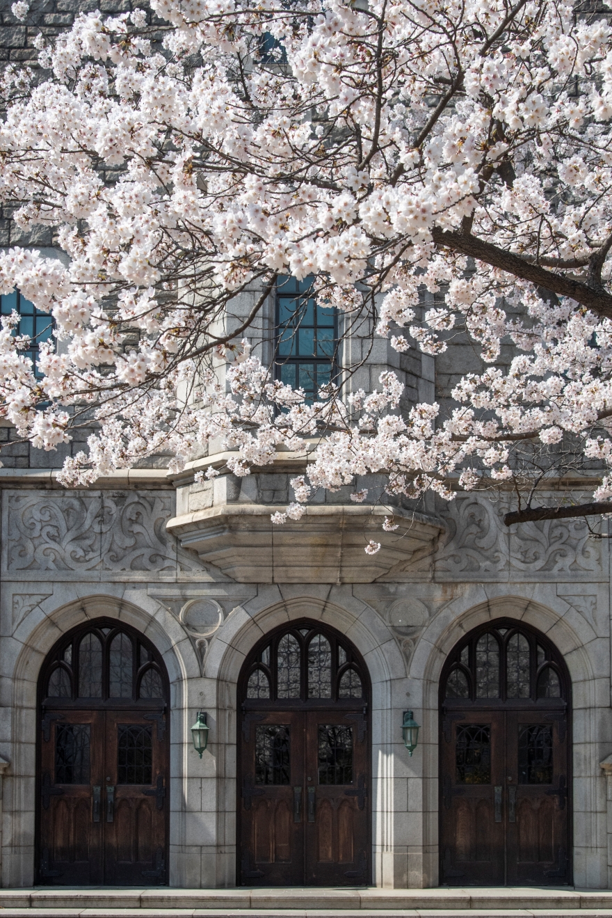 韩国留学东国大学有哪些优势？