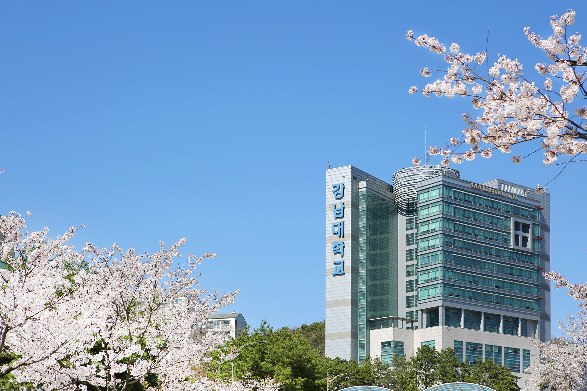 大专生去韩国留学，可以选择哪些大学？(图1)
