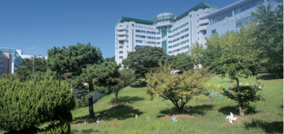 韩国留学丨韩国东明大学1年制中文授课硕士招生介绍(图1) 韩国留学丨韩国东明大学1年制中文授课硕士招生介绍(图1)