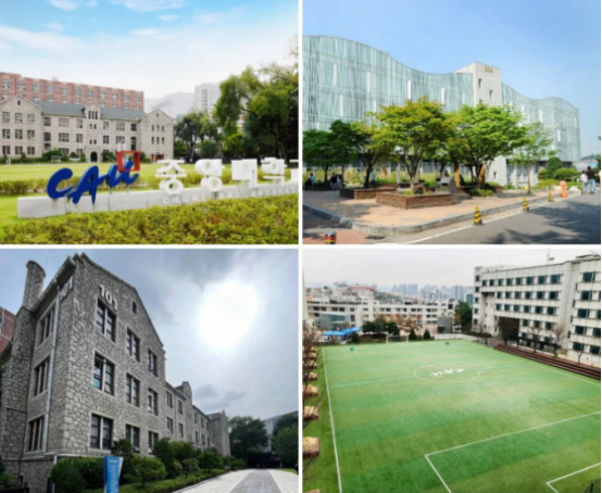 山东女子学院与韩国中央大学 韩国留学本科定向班招生简章(图13)