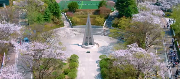 不看后悔！韩国留学20条隐藏潜规则，避坑指南速码(图1)