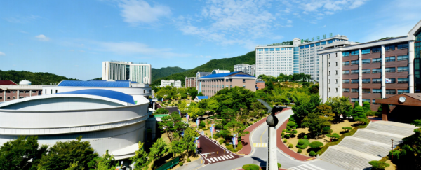 韩国一年制专升本：一年花销真实全揭秘，预算规划一目了然(图1)