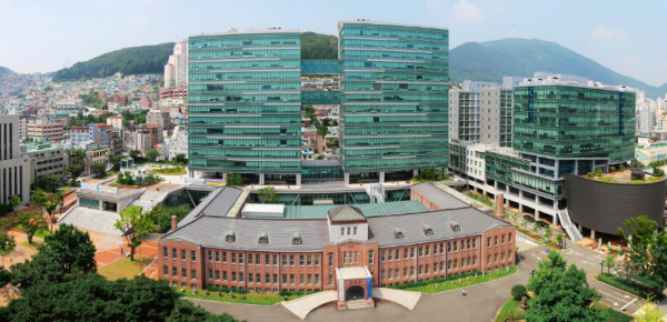 申请韩国留学，需要哪些材料公证？(图1)